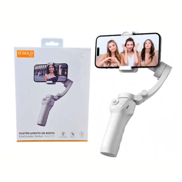 SUPORTE ESTABILIZADOR GIMBAL SLF-10 AGOLD